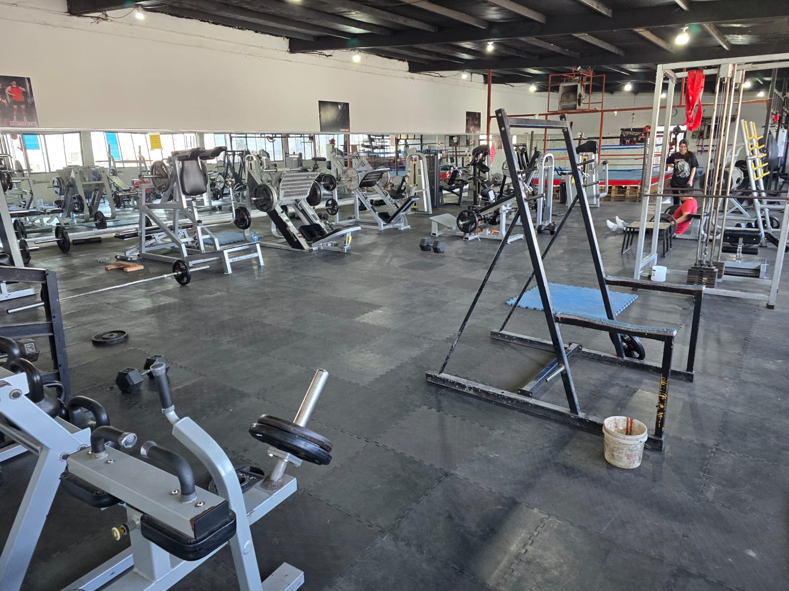 Entrenamiento en Kratos Gym