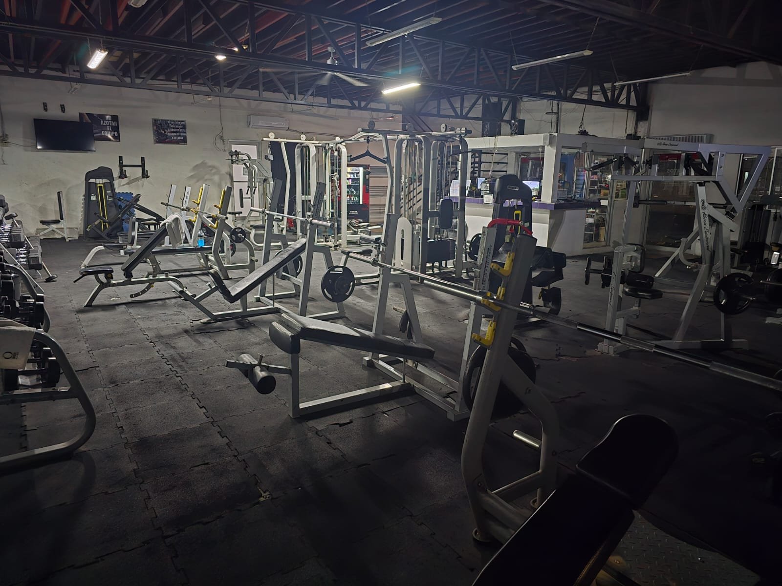 Entrenamiento en Kratos Gym